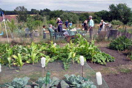 Allotments 4.jpg